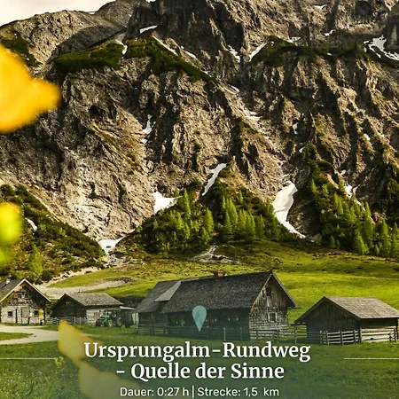 Alpin 205 Schladming